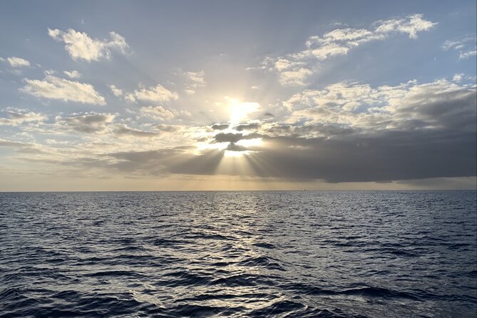 Private Whale Watching and Dolphin Excursion - The route: Waikiki, Diamond Head, and the Diamond Head Lighthouse coast