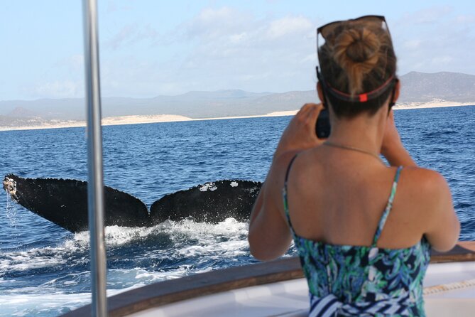 Private Whale Watching in San José del Cabo - Key things that make this whale watch worth your time