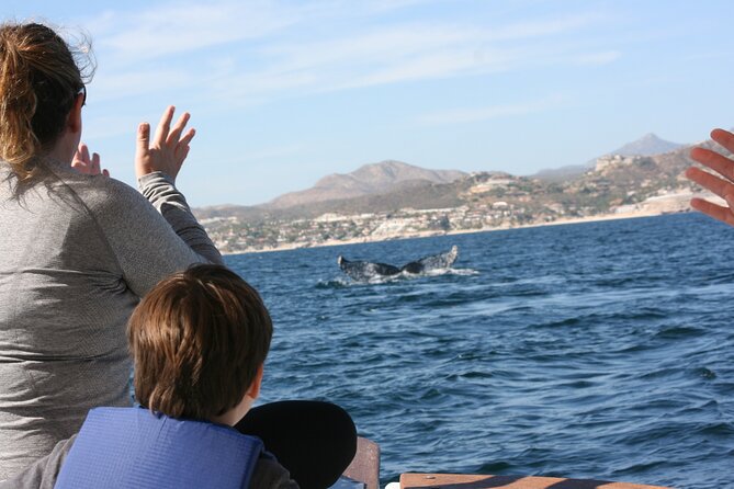 Private Whale Watching in San José del Cabo - The boat and comfort details that actually matter on a whale watch