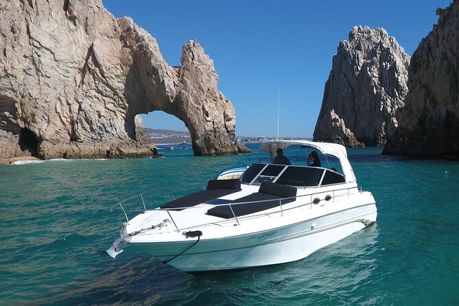 Private Whale Watching on Luxury Yacht in Cabo San Lucas - Stop 1: Cabo San Lucas Beach and the wildlife start-up