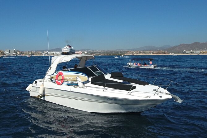 Private Whale Watching on Luxury Yacht in Cabo San Lucas - Timing, weather, and the one reality check