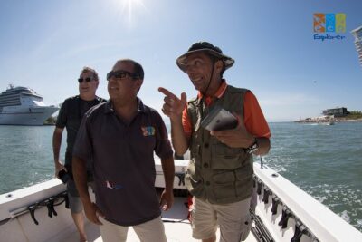Private Whale watching Puerto Vallarta - The Cruise Across Banderas Bay: How You’ll Actually Find Wildlife