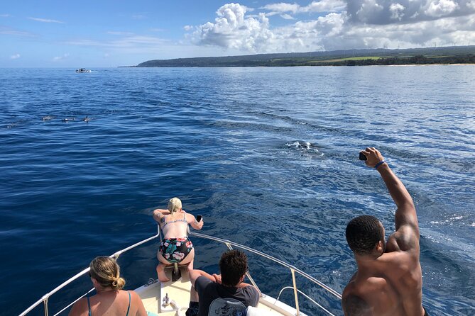 Private Whale Watching Safari from North Shore Oahu - Price and value: $600 for up to 6 people