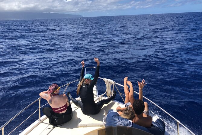 Private Whale Watching Safari from North Shore Oahu - The sunset factor and why timing can change the mood
