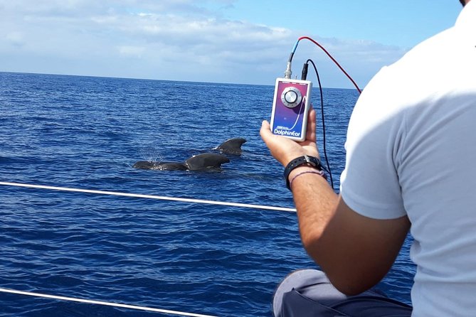 Private Yacht Tour With Whale and Dolphin Watching 33 Foot Boat - Whale and Dolphin Listening With Sonar Equipment