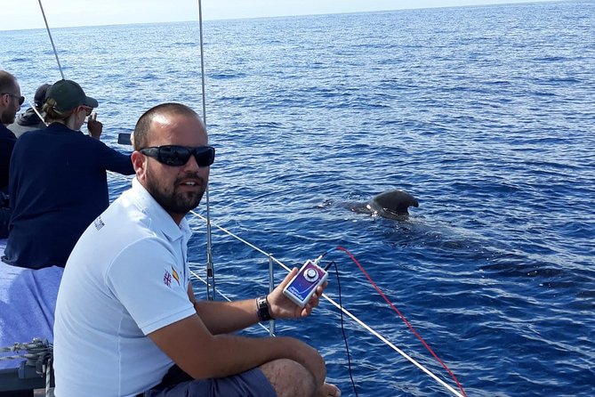 Private Yacht Tour With Whale and Dolphin Watching 33 Foot Boat - What If You Don’t See Whales or Dolphins?