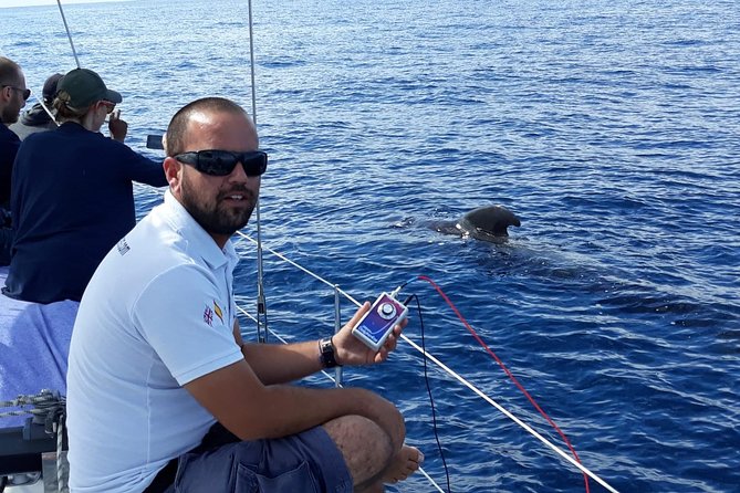 Private Yacht Tour With Whale and Dolphin Watching 42 Foot Boat - Who should book this private yacht tour (and who might skip it)