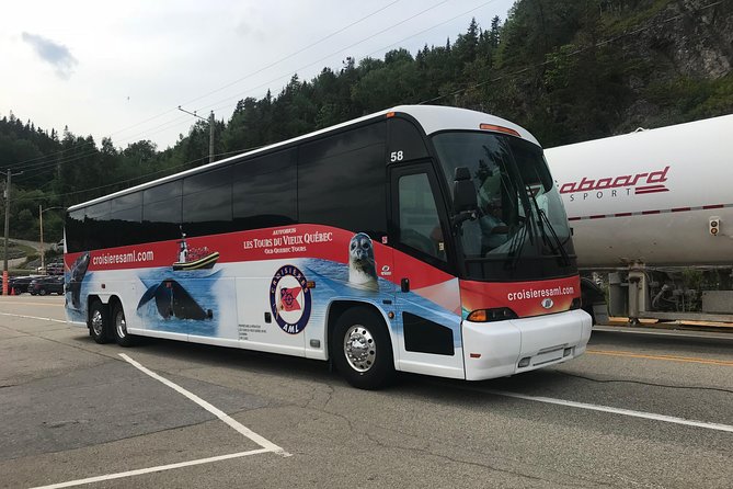 Québec City: Whale Watching Tour with Bus Transportation - Dress like the river means business