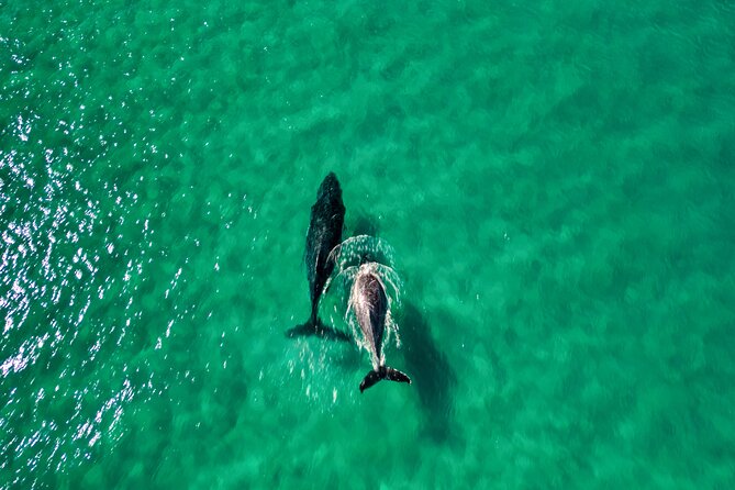 Rainbow Beach: Whale Watching Ocean Kayak Tour & Beach 4X4 - What’s included (and what you’re paying for)