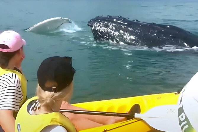 Rainbow Beach: Whale Watching Ocean Kayak Tour & Beach 4X4 - Group size and timing: why it affects your day
