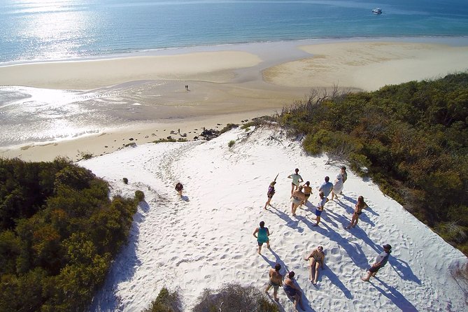 Remote K'gari (Fraser Island) & Whale Experience - Key things you’ll notice before you go