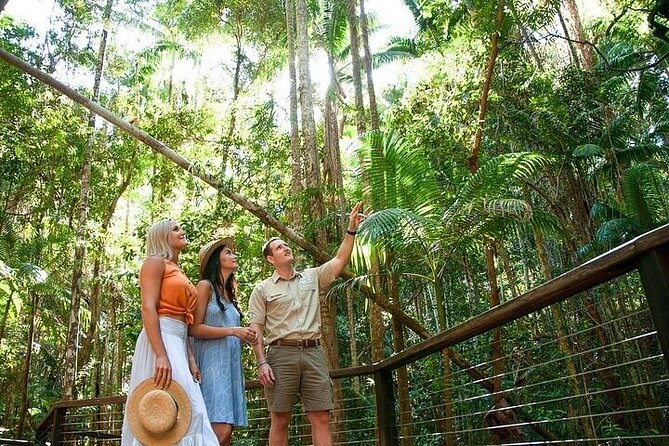 Remote K'gari (Fraser Island) & Whale Experience - Freshwater creeks, tubing, and that beach play energy