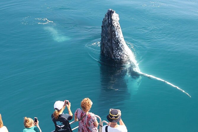 Remote K'gari (Fraser Island) & Whale Experience - Dunes and remote west-coast K’gari: the part many people miss