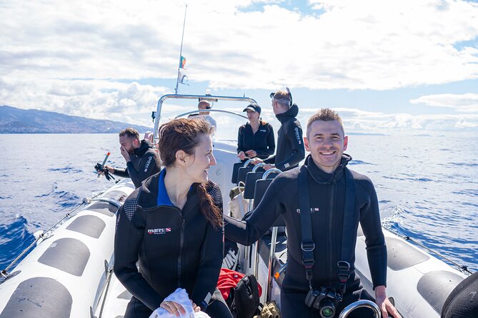 Responsible Whales and/or Dolphins Watching Tour - When to go and how to set expectations for sightings