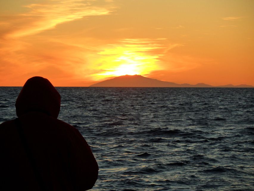 Reykjavik: Midnight Sun Whale Watching Tour - Why Faxafloi Bay Is a Whale-Watching Power Spot