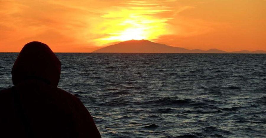 Reykjavik: Midnight Sun Whale Watching Tour - The Star Species: Minke, Humpbacks, Dolphins, and Harbor Porpoises
