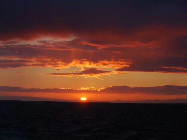 Reykjavik: Midnight Sun Whale Watching Tour - What to Bring: Warm Clothes and Hiking Shoes