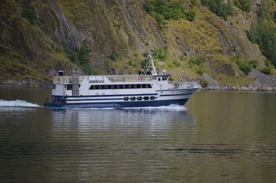 Reykjavik: Whale & Marine Adventure Tour - The whale-watching reality check: time, distance, and uncertainty