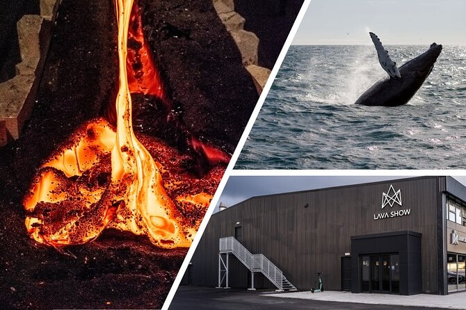 Reykjavik Whale Watching and Lava Show - What the Lava Show is, and why the 50 minutes feels short