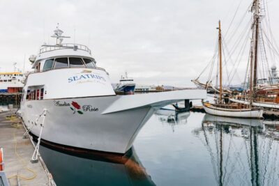 Reykjavík: Whale Watching Cruise on the Amelia Rose Yacht - Old Harbor check-in: how to get on the boat without stress