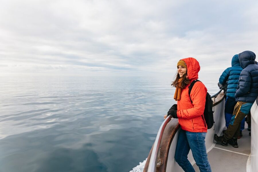 Reykjavík: Whale Watching Cruise on the Amelia Rose Yacht - Warmth, blankets, Wi‑Fi, and what to do onboard while you wait
