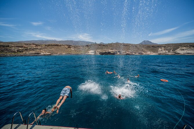 Royal Delfin 3H Dolphin & Whale Watching! Swimming & Lunch! - Swim Stop at Diego Hernandez Bay: Fun Water Time With Real Crowd Pressure