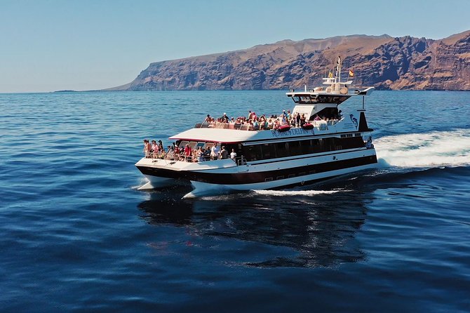 Royal Delfin - 4'5H Dolphin & Whale Watching - Los Gigantes Masca - Lunch & Swim - The cetacean search along Tenerife’s south-west coast