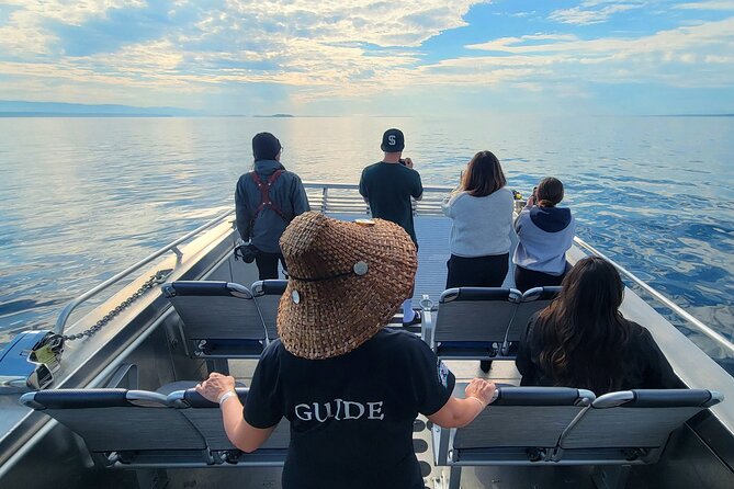 Salish Sea Whale Watching Tour in Campbell River - What happens once you leave the dock