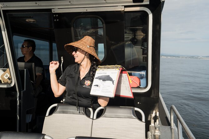 Salish Sea Whale Watching Tour in Campbell River - Price and value for a 4-hour wildlife hunt
