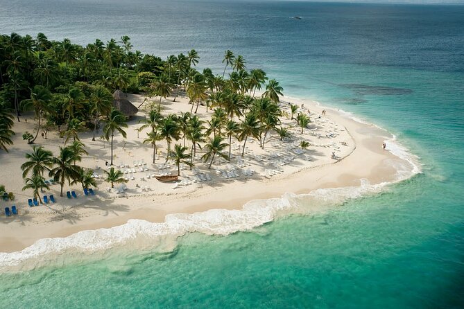 Samaná Experience Whale – The Lemon Waterfall & Bacardi Island - Dominican Lunch at the Dock: Real Food, Not a Café Stop