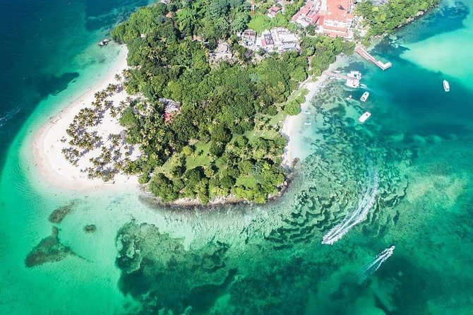 Samana Whale Watching + Cayo Levantado ( Bacardi Island) with Lunch by Locals - Quick highlights for this Samana whale watching + Cayo Levantado day