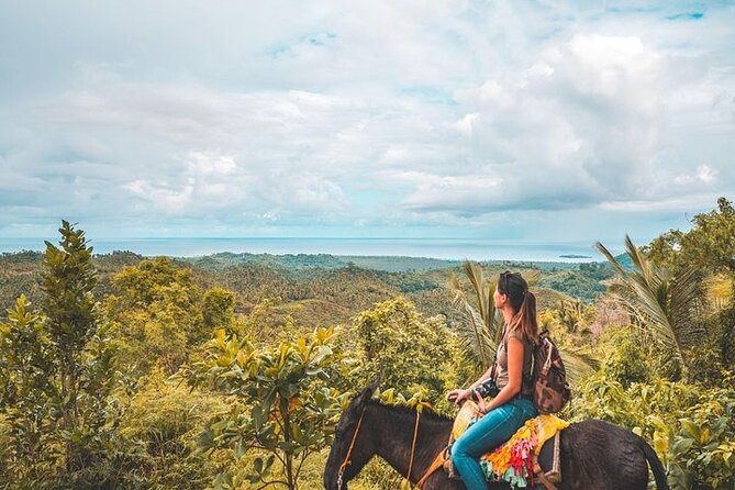 Samaná Whale Watching, waterfall & Cayo Levantado Adventure - What to Expect on the Boat: Comfort Tips That Actually Help