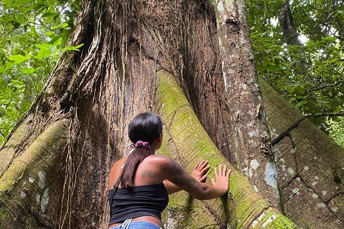 Samaná Whale Watching, waterfall & Cayo Levantado Adventure - Getting There: From Bávaro to the Miches Pier (and why it matters)