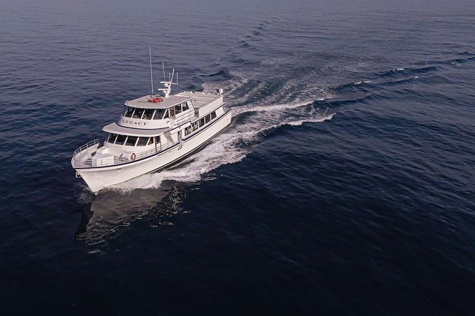 San Diego: 3 Hour Whale Watching Cruise - Key highlights worth knowing before you go