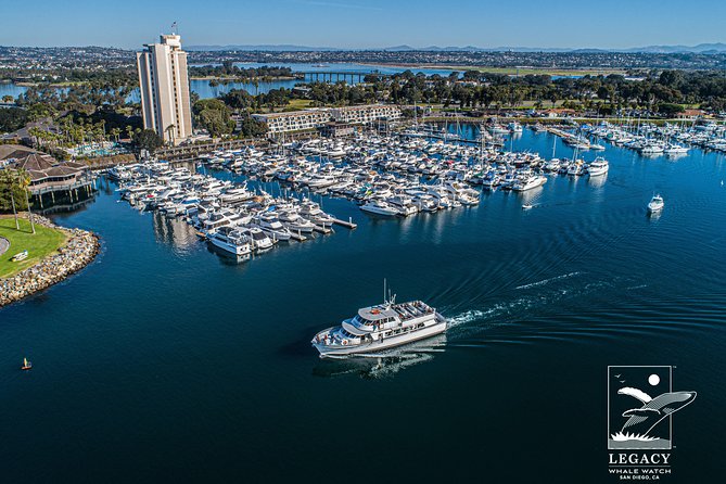 San Diego: 3 Hour Whale Watching Cruise - Open ocean whale watching: what you might spot and what to expect at distance
