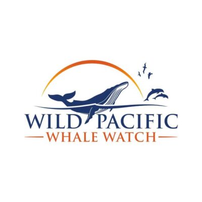 San Diego: Luxury Year-round Whale Watching & Dolphin Tour - The Peregrine 82-foot speedboat: comfort, stabilizers, and real deck time