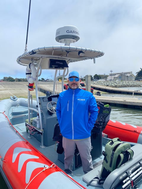 San Diego: Whale and Dolphin Watching Speedboat Tour - Key things I’d zero in on before you book