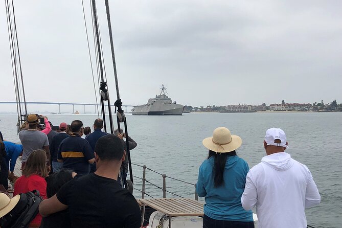San Diego Whale Watching Cruise - What You’re Actually Looking For: Gray Whales, Big Splashes, and Dolphin Pods