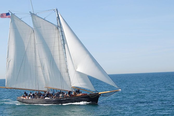San Diego Whale Watching Cruise - After the Cruise: Use the Rest of the Day Wisely