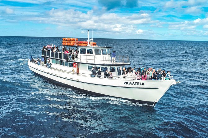 San Diego Whale Watching & Dolphin Cruise - Captain and naturalist commentary through the microphone