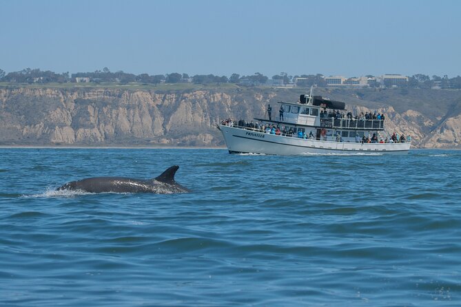 San Diego Whale Watching & Dolphin Cruise - Comfort, cold wind, and the smart-casual dress code