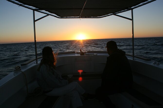 San Jose del Cabo Small-Group Sunrise Whale Watching - Why the 6:00 am start changes everything in San José del Cabo