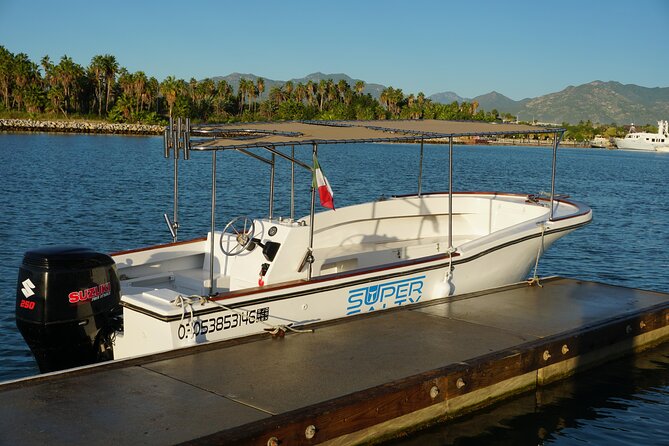 San Jose del Cabo Small-Group Sunrise Whale Watching - Where you meet (Callejon Pez Sierra 5) and how the timing works