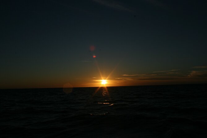 San Jose del Cabo Small-Group Sunrise Whale Watching - Season planning: December 15 to April 15 is your sweet spot