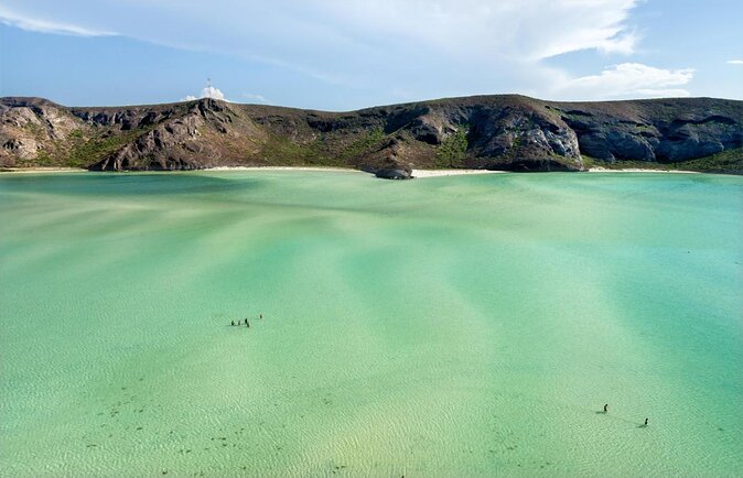 Sea of Cortez Combo: Whale Sharks, Sea Lions & Balandra Beach - Key points to know before you go