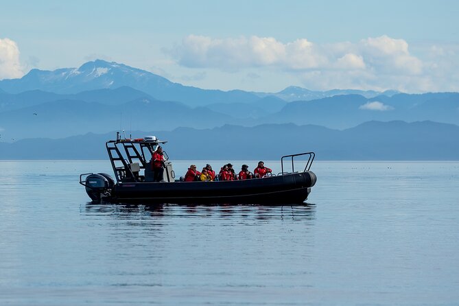 Sea Otter and Whale Watching Tour on Northern Vancouver Island - Queen Charlotte Strait: your longest shot at sea otters and whales