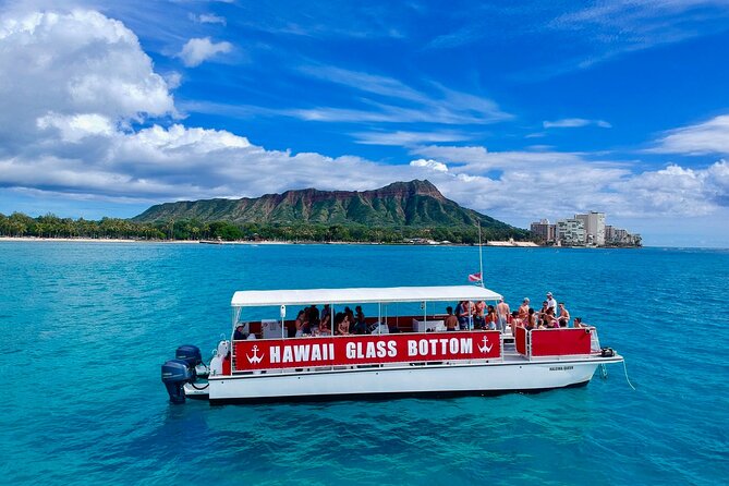 Sea Safari, Dolphins, Turtles and Waikiki Cruise - Price and Value: Why $46 Feels Reasonable for This Time Window