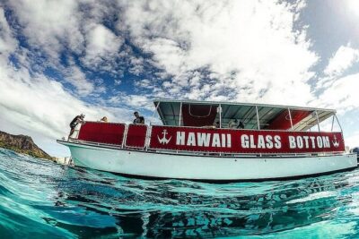 Sea Safari, Dolphins, Turtles and Waikiki Cruise - Meet at Kewalo Basin: Finding Slip F21 Without Stress