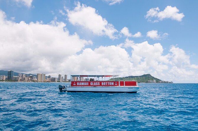 Sea Safari, Dolphins, Turtles and Waikiki Cruise - Stop 2: Waikiki Beach Coastline Cruise for Turtles, Dolphins, and Fish