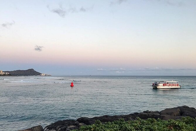 Sea Safari, Dolphins, Turtles and Waikiki Cruise - The Crew: Knowledge Meets Humor (and Spotting Skills)